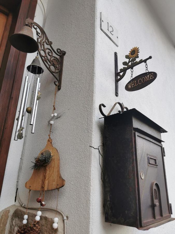 Casa Phoenix Appartamento Piano Terra Immerso Nel Verde A Pochi Minuti Dalla Ciclabile Pieve di Cadore Esterno foto